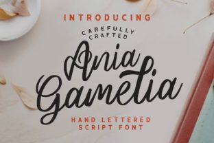 Ania Gamelia: A Handwritten Typeface for Modern Web Design