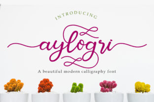 Aylogri Typeface Review: Elevating Romantic Brand Campaigns