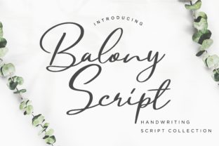Balony Typeface: A Web Designer’s Take on Sweet, Modern Script Typography
