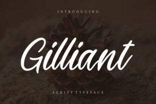 Gilliant Typeface Review: Elevating Digital Brand Identity