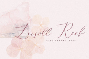 Leisoll Reef: The Modern Script Typeface for Scroll-Stopping Brand Content