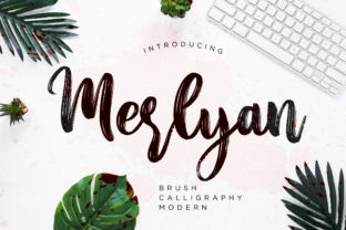 Merlyan: A Designer’s Honest Review of This Script Amp Typeface