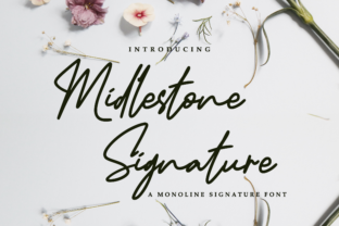 Midlestone Review: A Designer’s Take on Script Amp