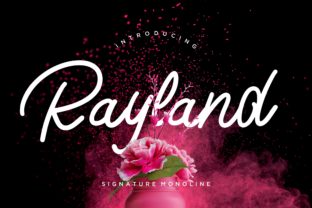 Rayland Typeface: A Casual Script for Modern Web Design