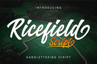 Ricefield: A Vintage Script Typeface for Standout Branding
