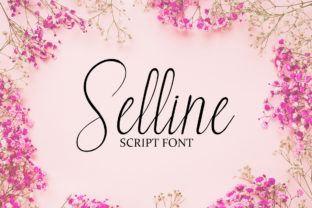 Selline Typeface Review: Adding Warmth to Campaign Visuals